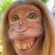 The Amazon Monkey logo