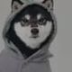 Black Shiba logo