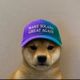 dog wif cap logo