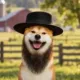 Amish Inu logo