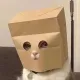 Anonymous Cat logo