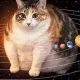 suncat logo