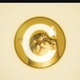 CATECOIN logo