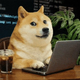 Quantum Doge logo