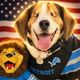 The Hero Beagle logo