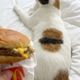 Hamburger Tattoo logo