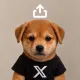 Sharedog logo