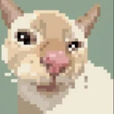 Cutecat logo