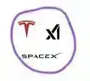 TeslaSpaceXAI logo