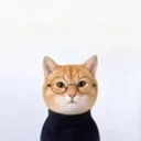 Anti inu logo