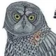 Superintelligence Owl logo