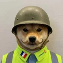 WAR IN FRANCE logo