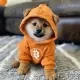 DOG•GO•TO•THE•MOON logo