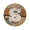 Silvercoin logo