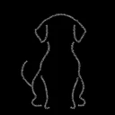 contract address dog logo