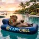 CAPYCHILL logo