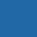 Blue Coin logo