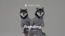 Black Shiba logo