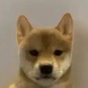 Inu logo