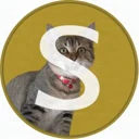 Silvercoin logo