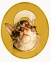 Silvercoin logo