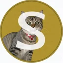 Silvercoin logo