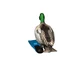 spinning duck logo