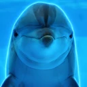 Dolphin Intelligence logo