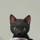 cat thats black logo