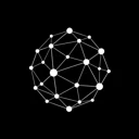 Network logo