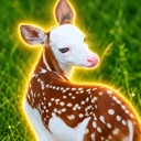 Nature's Phenomenon logo