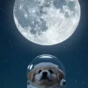 Back To The Moon logo