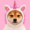 INU logo