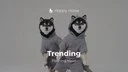 Black Shiba logo