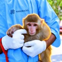 Space Monkey logo